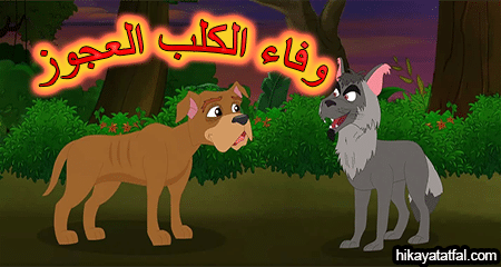 وفاء الكلب العجوز حواديت أطفال قبل النوم