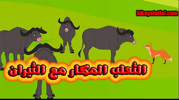 قصة الثعلب المكار مع الثيران