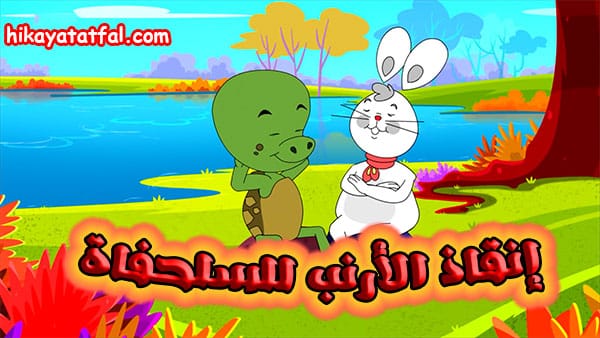 قصة إنقاذ الأرنب للسلحفاة
