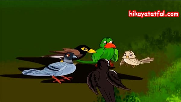 قصة ذهاب الطيور في نزهة