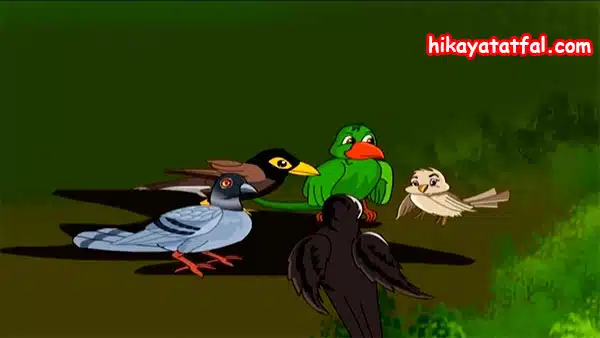 قصة ذهاب الطيور في نزهة